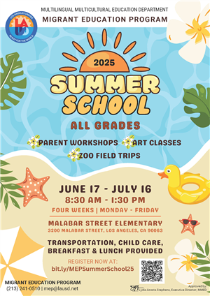 SUMMER SCHOOL FLYER